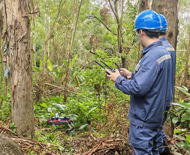 廣哈通信應急通信機器狗在模擬災后雨林環境（多斷樹、枝，草叢多茂密復雜）中進行探測任務.jpg